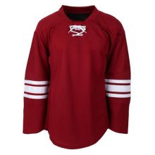 Ice Hockey Jersey